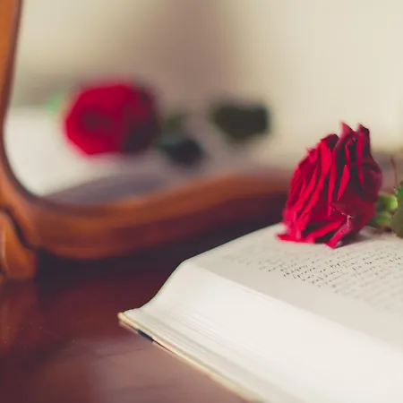 Paroraia 3* Ángistron